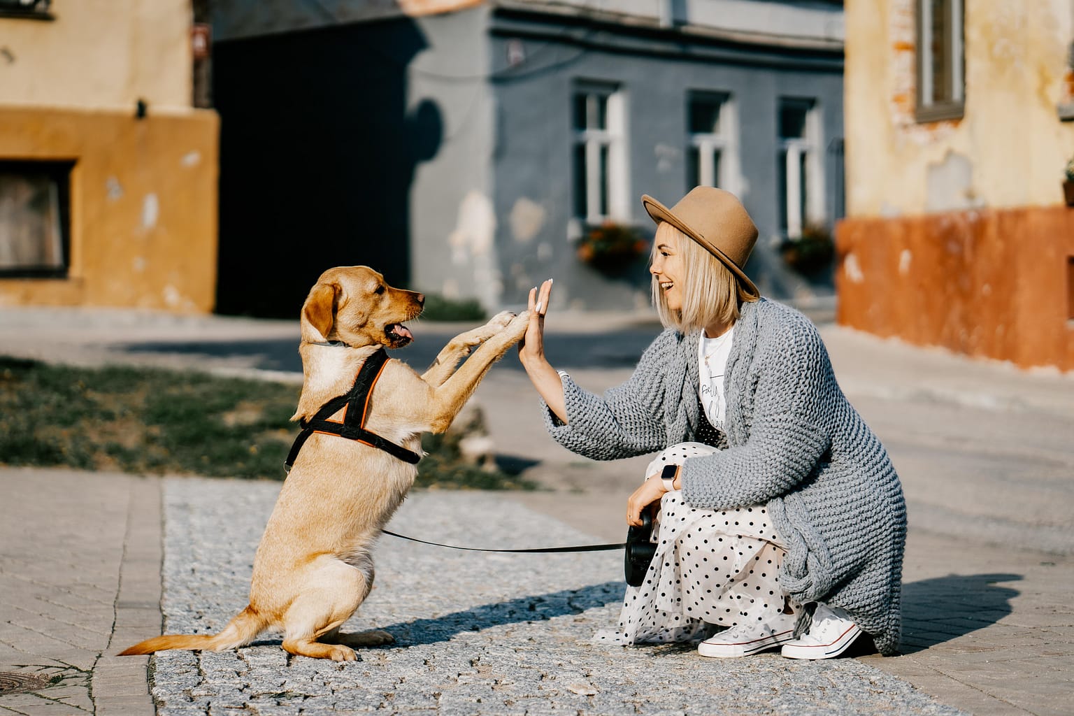 Building an Unbreakable Bond With Your Dog